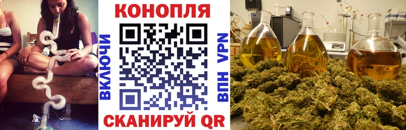 как найти наркотики  Семикаракорск  сайты даркнета состав  Бошки марихуана планчик 